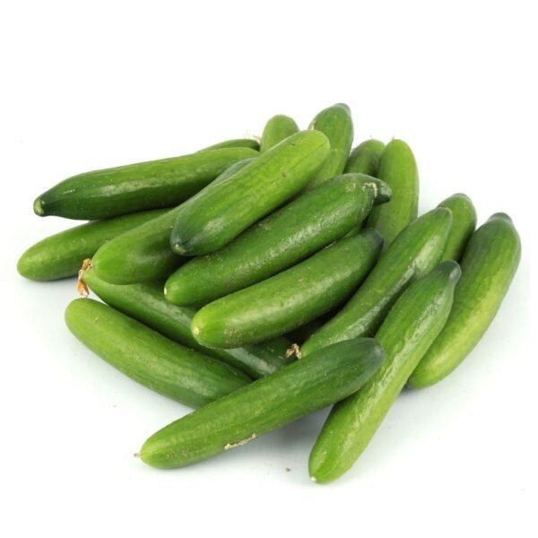 CUCUMBER